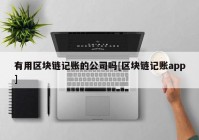 有用区块链记账的公司吗[区块链记账app]